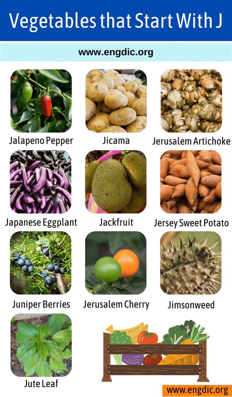 vegetables that begin with j.